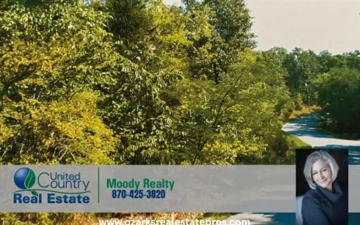 Plot Of Land For Sale In Cherokee Village, Ar