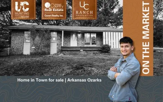 Home in Town in the Arkansas Ozarks | Fulton County