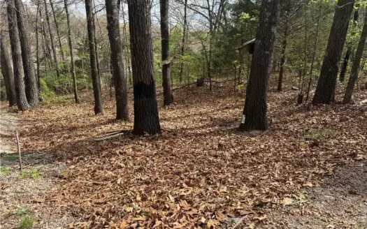 Two Building Lots Ridgedale Missouri For Sale Near Top of the Roc