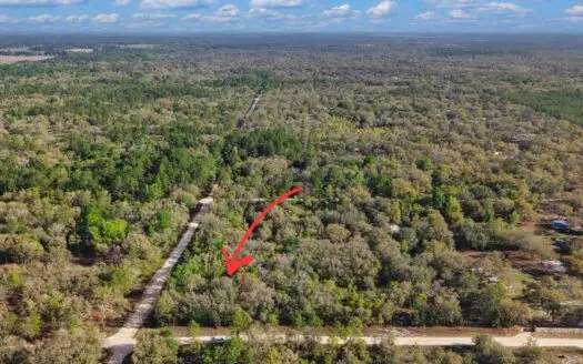 1.25 Acre Corner Lot In Levy County Near Gainesville, Fl
