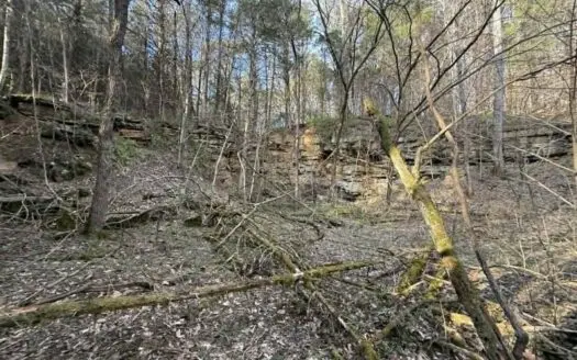 5+/- Acres in Albany, Kentucky