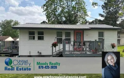 Detached Home For Sale In Piggott Arkansas