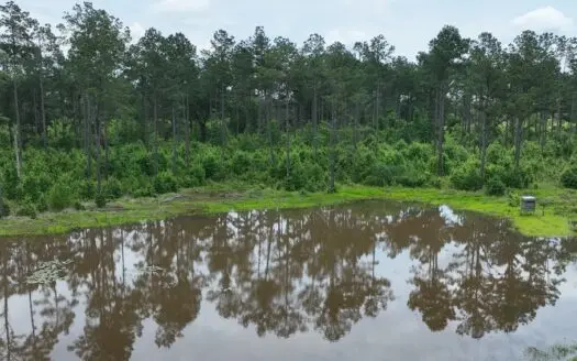 133 Acres of Timberland with Homesite Potential