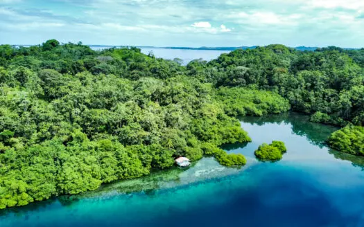 Elevated Waterfront Property with Stunning Coral Reef Coastline