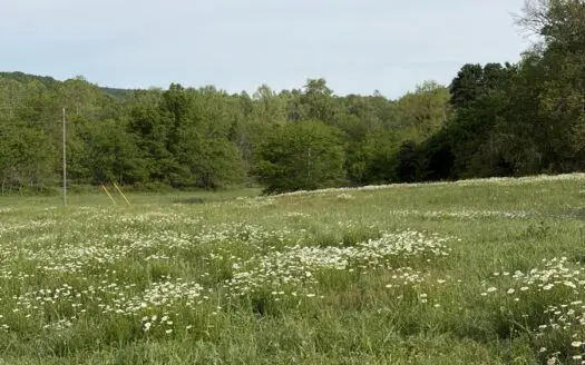 10 +/- Acres in NE Oklahoma, Clouds Creek runs through Property