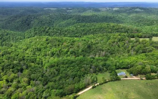 Hunting And Recreational Land For Sale In Arkansas Ozarks