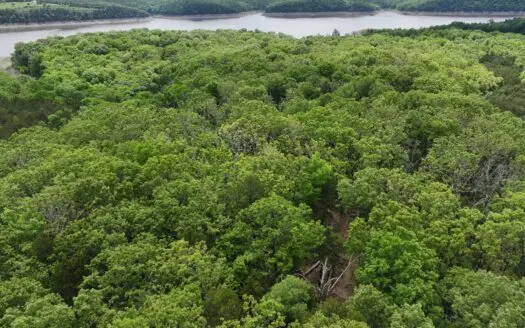 2 Secluded Lots on Bull Shoals Lake Peninsula in Subdivision