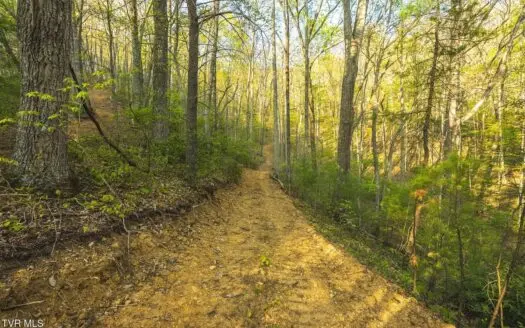 147 Acres of Mountain Land in Unicoi County, Tennessee
