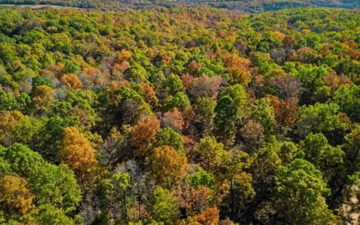 40 Acres Near Norfork Lake with Timber & Hunting in Hardenville