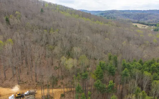 Wooded Land for Sale in Floyd, VA