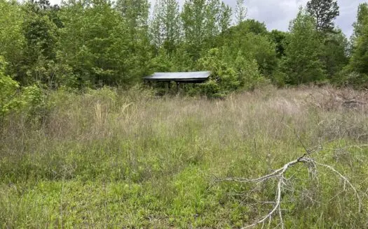 4 Acres – Scenic Land Opportunity in Western Arkansas