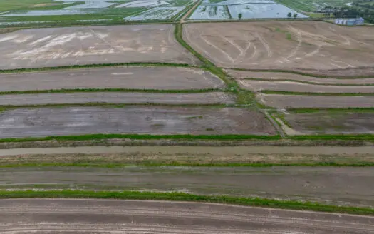 Duck Hunting  and  Rice and Crawfish Farm – Welsh, LA