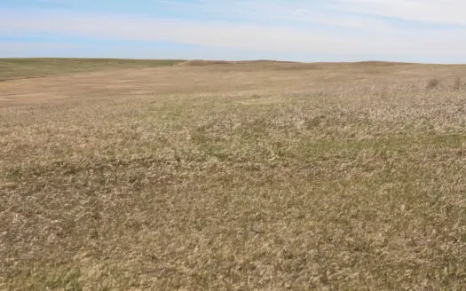 308+/- Acres bordering Flaxville, Montana
