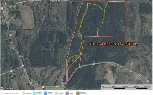 +/-103 Acres North MS Timberland with Creek & Hunting