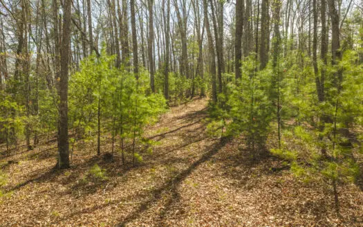 Recreational Land for Sale in Bath County, VA