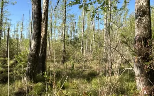 Recreational Dream Property in Columbia County!