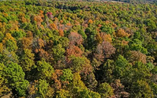 90 Acres Near Norfork Lake with Timber & Hunting in Hardenville