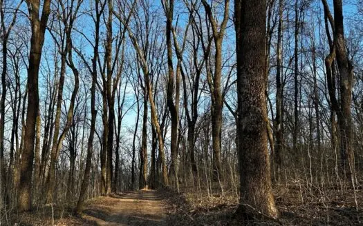 52.75 Ac Wooded Land w/Springs Near St. Paul Arkanas For Sale