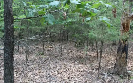 Secluded Lot 5A Near Country Club Theodosia, MO