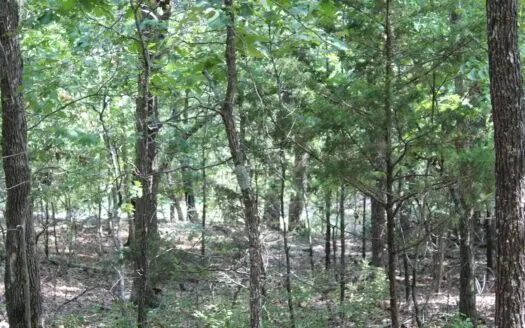 Secluded Lot near Bull Shoals Lake in Theodosia, Missouri