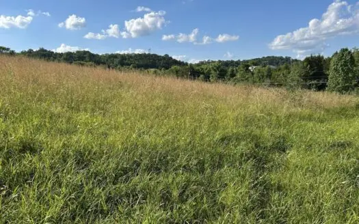 4.51 Unrestricted Acres in Hawkins County, Tennessee