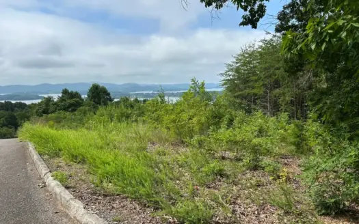1.29 Lakeview Acres For Sale in Grainger County, Tennessee