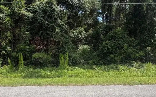 1.4 Acres for Sale in Trenton, FL