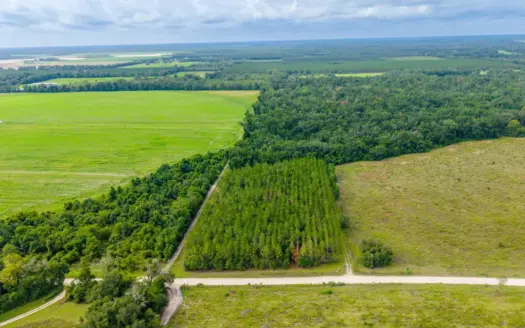 10 Acres for Sale in O’Brien, Florida