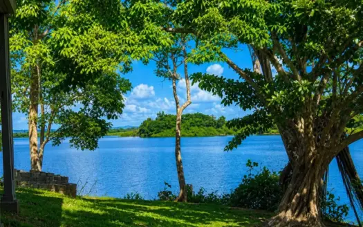 14.5-Hectare Lakefront Development Land | Gatun Lake | La Arenosa