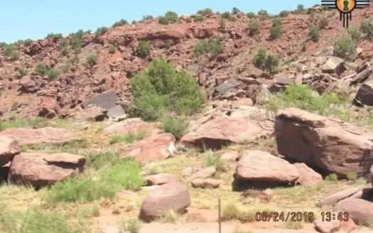 140 Acre Ranch Land with Red Rock Views in Newkirk NM