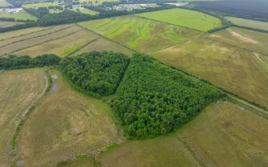 240 +/- Acre Farm for Sale in Kinder, LA