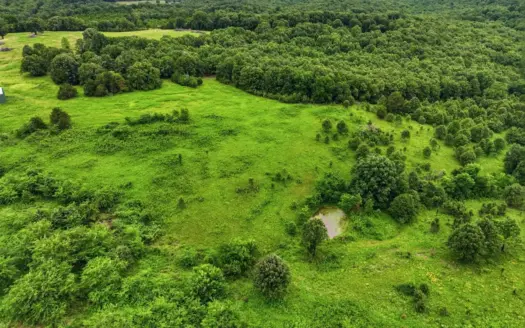 27.99 Acres Near Bull Shoals Lake in the Missouri Ozarks
