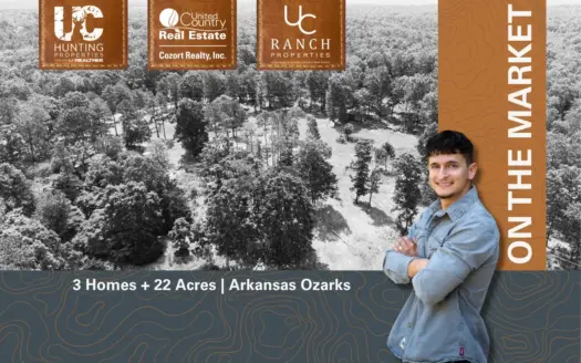 3 Homes + 22 Acres | Arkansas Ozarks