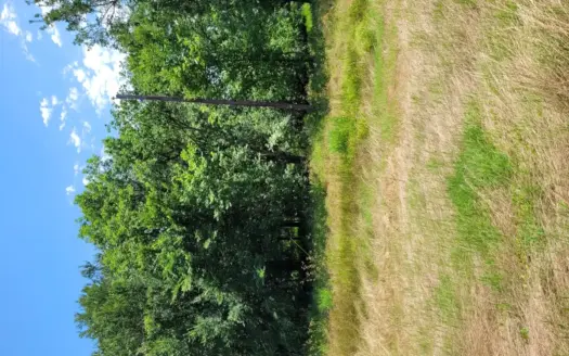 3.11 Acre Commercial Acreage on SW Loop 286 Paris, TX, Lamar Co