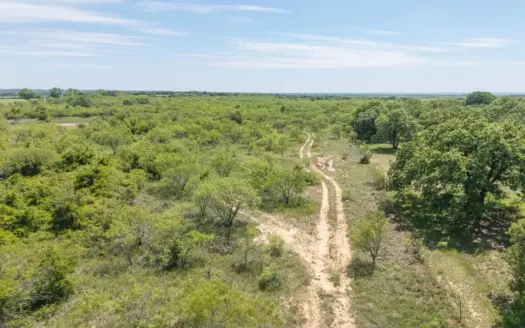 33.32 Acres for Sale on County Road 372 in Early, Texas