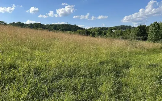 4.51 Unrestricted Acres in Hawkins County, Tennessee