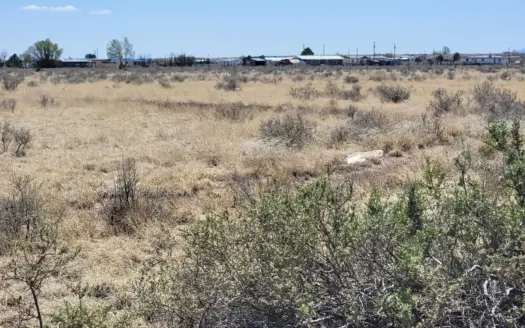 4.9 Acres with No Restrictions in McIntosh, New Mexico