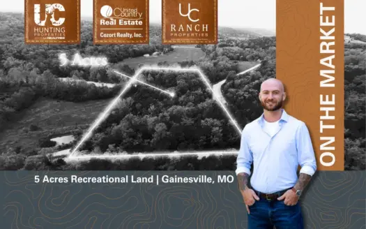 5 Acres of Recreational Land | Gainesville, Missouri