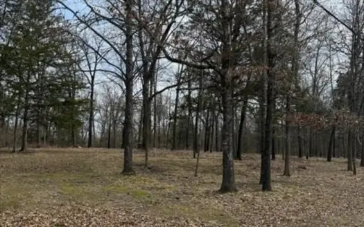 5.3 Acres Land Property Near Bull Shoals Lake, Lead Hill For Sale