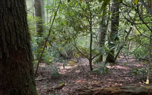 5.3 Unrestricted Acres Near Cherokee National Forest