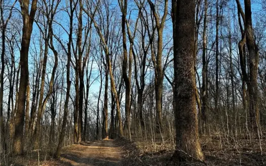 52.75 Ac Wooded Land w/Springs Near St. Paul Arkanas For Sale
