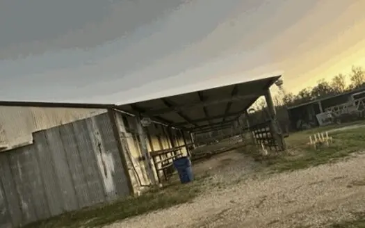 Income-Producing Commercial Investment Opportunity In Orange Tx