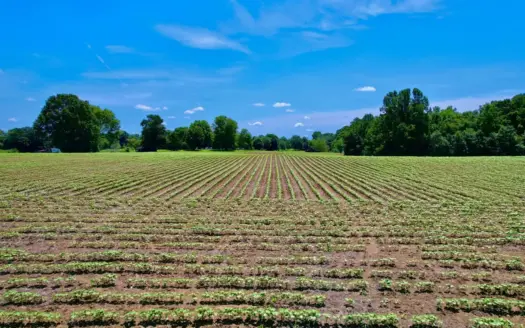 8.78± Acres with Farm Land & Prime Building Site