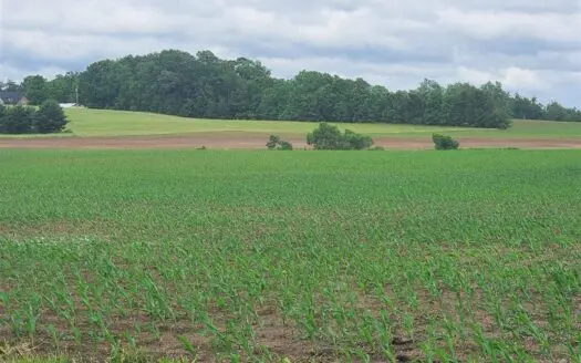 112.5 Acres for sale joining Franklin Ky city limits.