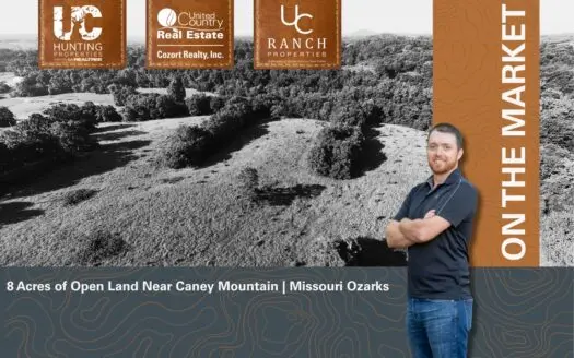 Open Land in the Missouri Ozarks | Gainesville, Missouri