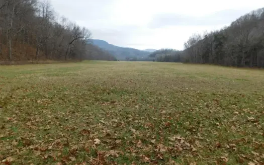 Brasel Creek Runs Through Farm Land For Sale in Newton Count