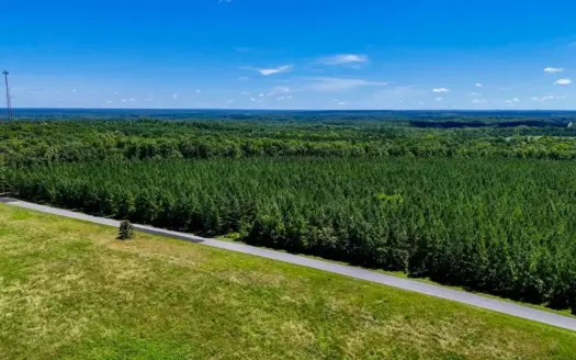 Build Your Vision: 33-Acre Scenic Country Estate