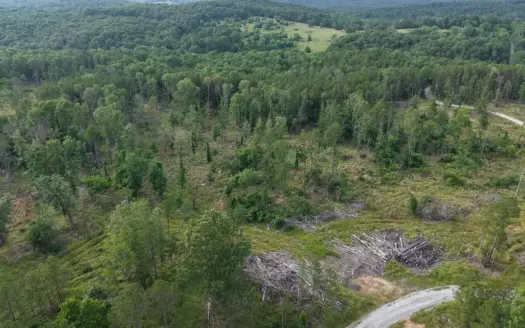 Building And Hunting For Sale In North Central Arkansas