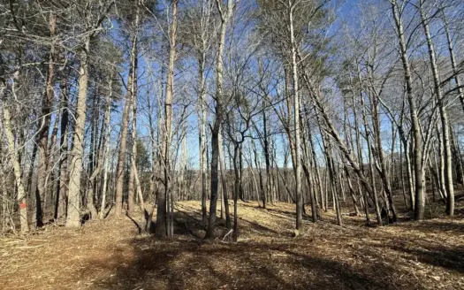 Building Lot Available at Spring Creek Airpark!