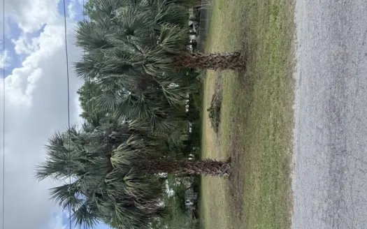 City Lot in the Heart of Trenton, Florida!
